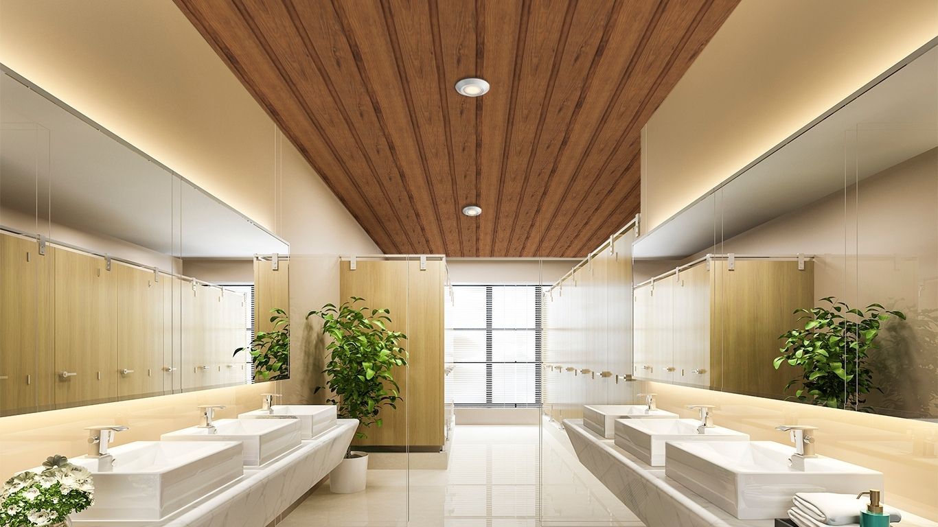 PVC Ceiling